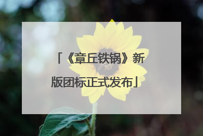 《章丘铁锅》新版团标正式发布