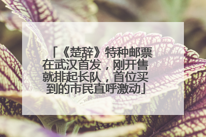 《楚辞》特种邮票在武汉首发，刚开售就排起长队，首位买到的市民直呼激动