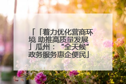 「着力优化营商环境 助推高质量发展」瓜州：“全天候”政务服务惠企便民