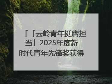 「云岭青年挺膺担当」2025年度新时代青年先锋奖获得者王敏奇——澜沧江上好渔人