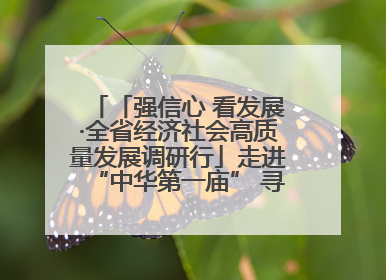 「强信心 看发展·全省经济社会高质量发展调研行」走进“中华第一庙” 寻根伏羲 祭祖龙城