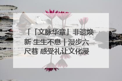 「文脉华章」非遗焕新 生生不息｜漫步六尺巷 感受礼让文化浸润的“巷”往生活