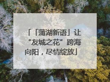 「蒲湖新语」让“友城之花”跨海向阳，尽情绽放