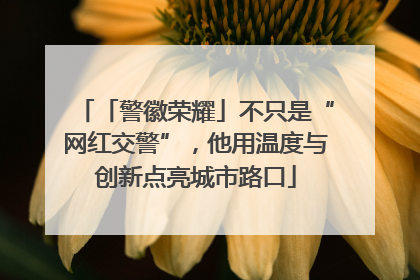 「警徽荣耀」不只是“网红交警”，他用温度与创新点亮城市路口