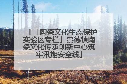 「陶瓷文化生态保护实验区专栏」景德镇陶瓷文化传承创新中心筑牢汛期安全线
