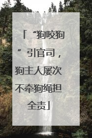 “狗咬狗”引官司，狗主人屡次不牵狗绳担全责