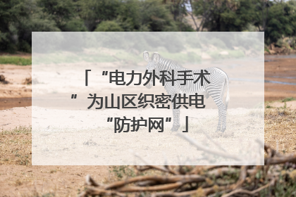 “电力外科手术”为山区织密供电“防护网”