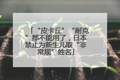 “皮卡丘”“耐克”都不能用了，日本禁止为新生儿取“非常规”姓名