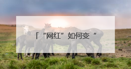 “网红”如何变“长红”——“一朵花”激活城市文化基因的破题之路