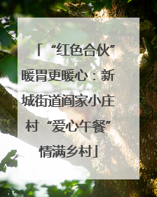 “红色合伙”暖胃更暖心：新城街道阎家小庄村“爱心午餐”情满乡村