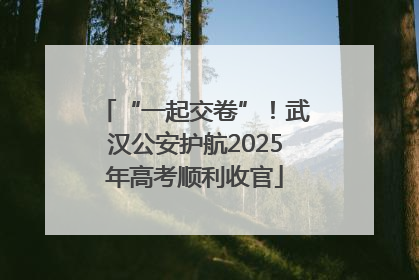 “一起交卷”！武汉公安护航2025年高考顺利收官