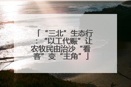 “三北”生态行：“以工代赈”让农牧民由治沙“看客”变“主角”