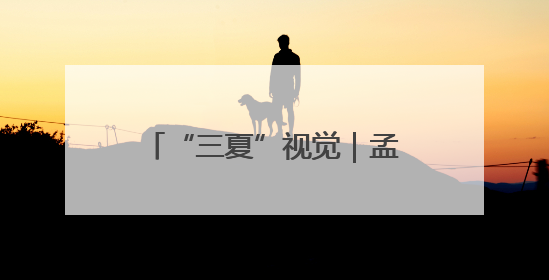 “三夏”视觉｜孟津插秧季农机穿梭 高标准农田披绿装