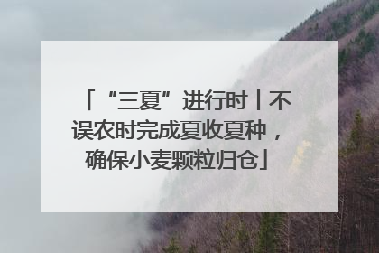 “三夏”进行时丨不误农时完成夏收夏种，确保小麦颗粒归仓