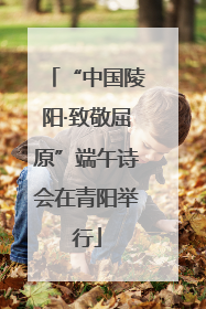 “中国陵阳·致敬屈原”端午诗会在青阳举行