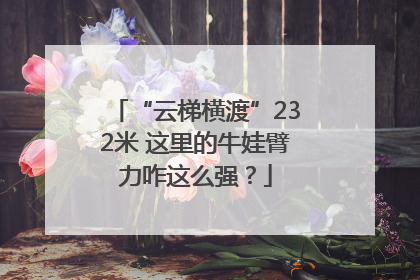 “云梯横渡”232米 这里的牛娃臂力咋这么强？