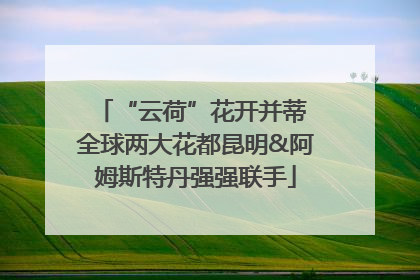 “云荷”花开并蒂 全球两大花都昆明&阿姆斯特丹强强联手