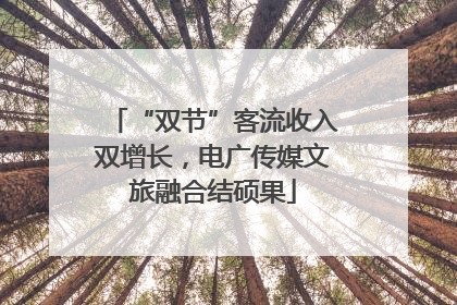 “双节”客流收入双增长，电广传媒文旅融合结硕果