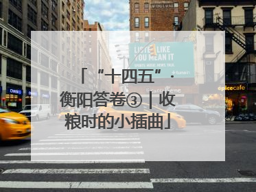 “十四五”·衡阳答卷③｜收粮时的小插曲