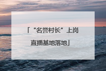 “名誉村长”上岗 直播基地落地