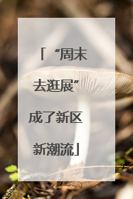 “周末去逛展”成了新区新潮流