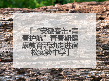 “安徽春蕾•青春护航”青春期健康教育活动走进宿松实验中学