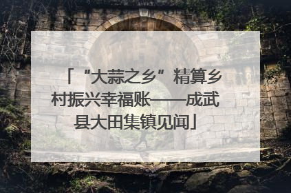 “大蒜之乡”精算乡村振兴幸福账——成武县大田集镇见闻