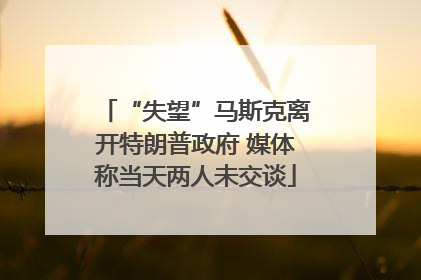 “失望”马斯克离开特朗普政府 媒体称当天两人未交谈
