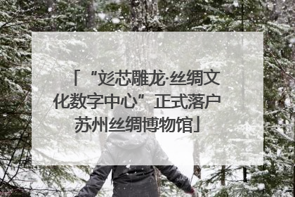 “彣芯雕龙·丝绸文化数字中心”正式落户苏州丝绸博物馆