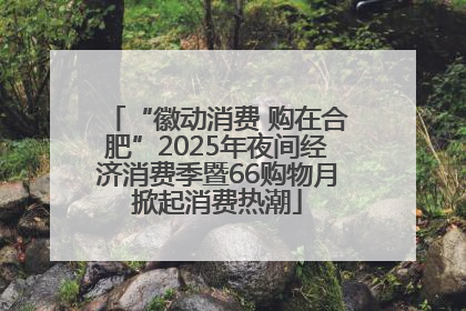 “徽动消费 购在合肥”2025年夜间经济消费季暨66购物月掀起消费热潮