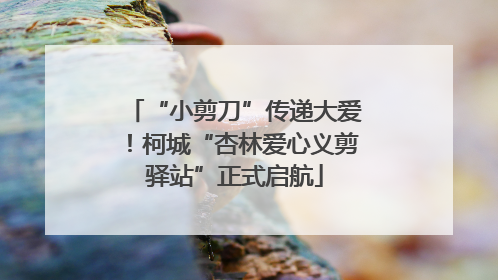 “小剪刀”传递大爱！柯城“杏林爱心义剪驿站”正式启航