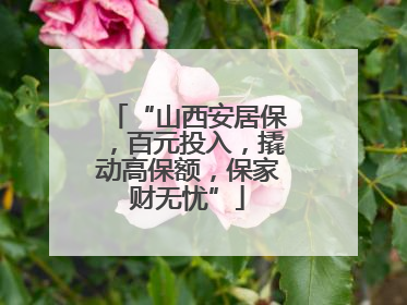 “山西安居保，百元投入，撬动高保额，保家财无忧”