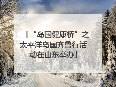 “岛国健康桥”之太平洋岛国齐鲁行活动在山东举办