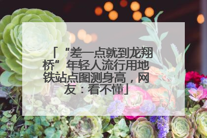 “差一点就到龙翔桥”年轻人流行用地铁站点图测身高，网友：看不懂