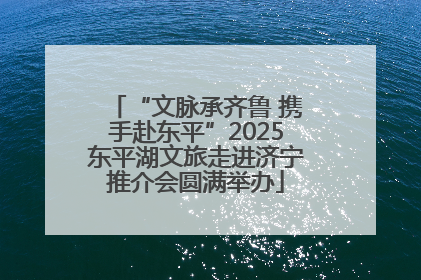 “文脉承齐鲁 携手赴东平”2025东平湖文旅走进济宁推介会圆满举办