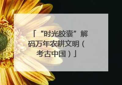 “时光胶囊”解码万年农耕文明（考古中国）