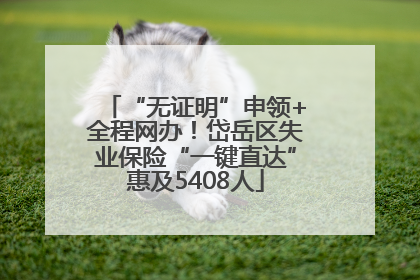 “无证明”申领+全程网办！岱岳区失业保险“一键直达”惠及5408人