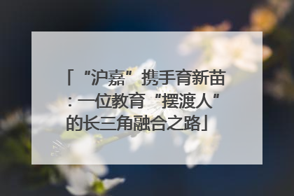 “沪嘉”携手育新苗：一位教育“摆渡人”的长三角融合之路