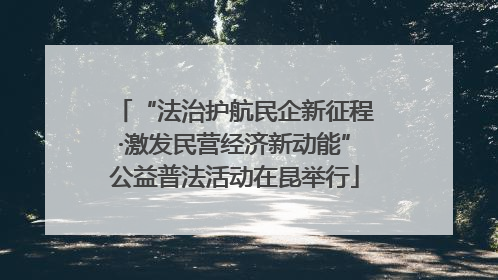 “法治护航民企新征程·激发民营经济新动能”公益普法活动在昆举行