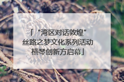 “湾区对话敦煌” 丝路之梦文化系列活动横琴创新方启幕