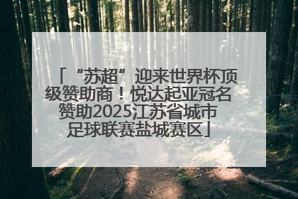 “苏超”迎来世界杯顶级赞助商！悦达起亚冠名赞助2025江苏省城市足球联赛盐城赛区