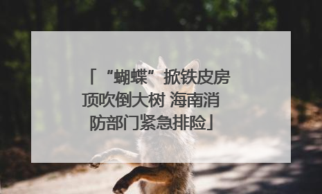 “蝴蝶”掀铁皮房顶吹倒大树 海南消防部门紧急排险