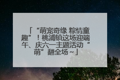 “萌宠奇缘 粽情童趣”！桃浦镇这场迎端午、庆六一主题活动“萌”翻全场～