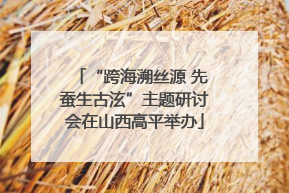 “跨海溯丝源 先蚕生古泫”主题研讨会在山西高平举办