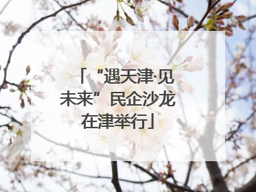 “遇天津·见未来”民企沙龙在津举行