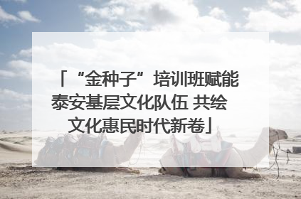 “金种子”培训班赋能泰安基层文化队伍 共绘文化惠民时代新卷