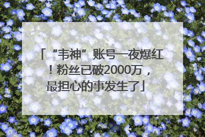 “韦神”账号一夜爆红！粉丝已破2000万，最担心的事发生了