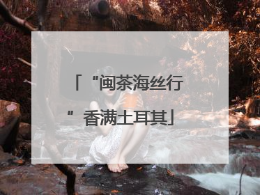 “闽茶海丝行”香满土耳其