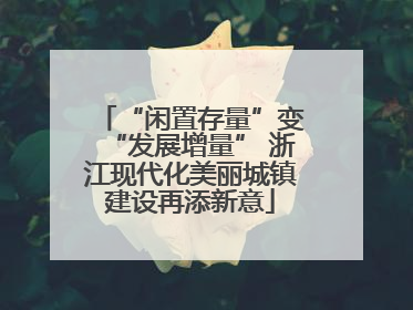 “闲置存量”变“发展增量” 浙江现代化美丽城镇建设再添新意
