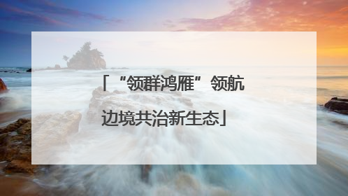 “领群鸿雁”领航边境共治新生态